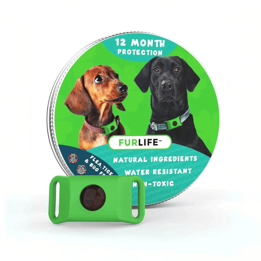 Flicksy™ - 8 Months Flea and Tick Tags for Dogs