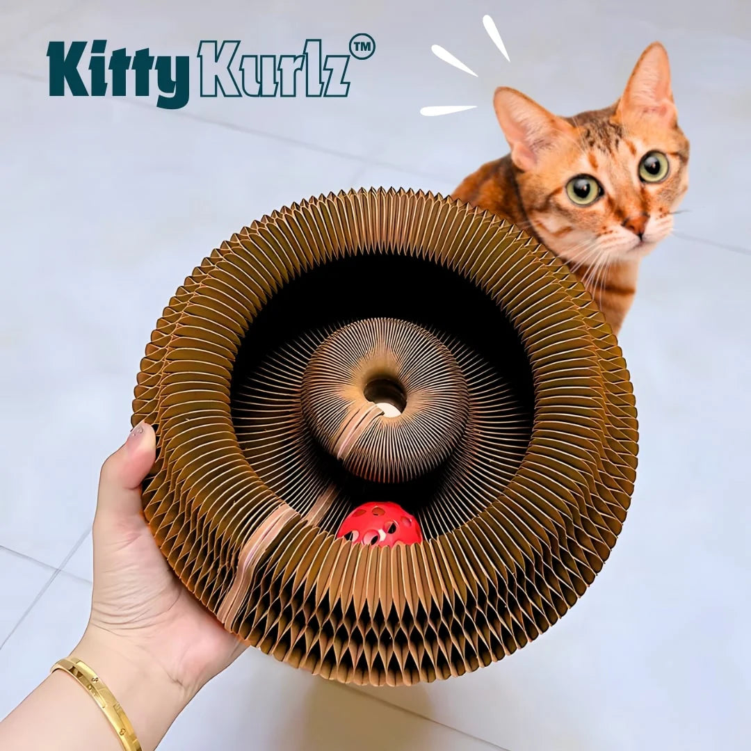 Kitty Kurlz™ - Endless Fun for Cats