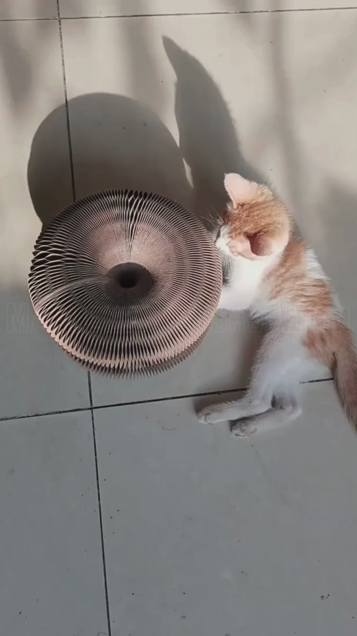 Kitty Kurlz™ - Endless Fun for Cats