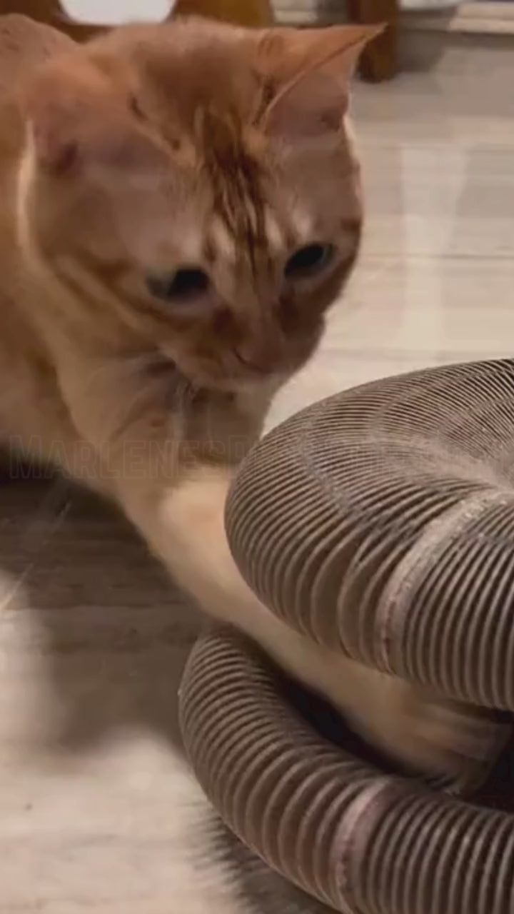 Kitty Kurlz™ - Endless Fun for Cats